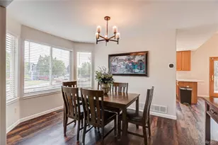 226 Chelsea St, Castle Rock, CO 80104 - Photo 6