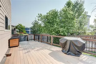 226 Chelsea St, Castle Rock, CO 80104 - Photo 24
