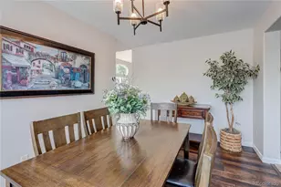 226 Chelsea St, Castle Rock, CO 80104 - Photo 10