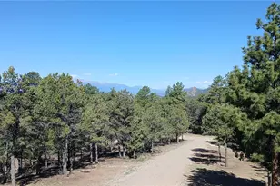 938 18th Trail, Cotopaxi, CO 81223 - Photo 30