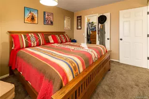 15957 Brooklime Ct, Parker, CO 80134 - Photo 24