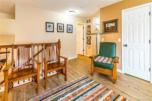 15957 Brooklime Ct, Parker, CO 80134 - Photo 22