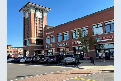 8573 Mallard Court, Highlands Ranch, CO 80126 - Photo 46