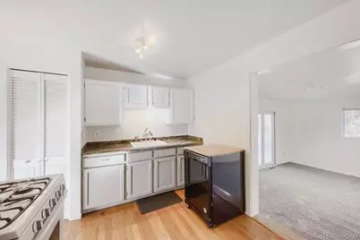 741 Elbert Street, Denver, CO 80221 - Photo 8