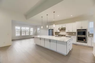 641 Bistort Point, Castle Rock, CO 80104 - Photo 8