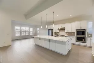 641 Bistort Pt, Castle Rock, CO 80104 - Photo 8