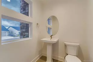 641 Bistort Pt, Castle Rock, CO 80104 - Photo 22