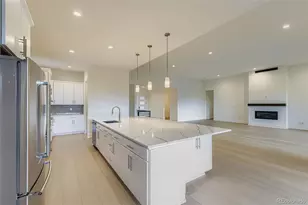 641 Bistort Pt, Castle Rock, CO 80104 - Photo 10