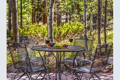 1793 Falcon Drive, Silverthorne, CO 80498 - Photo 2