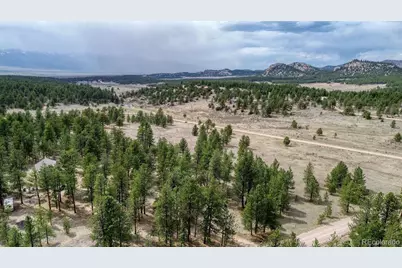 453 Black Fawn Lane, Westcliffe, CO 81252 - Photo 32