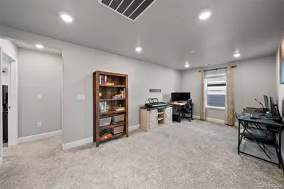 3807 Red Valley Lane, Castle Rock, CO 80104 - Photo 20