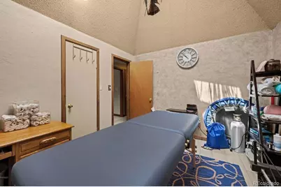 216 Crossman Avenue, Buena Vista, CO 81211 - Photo 28