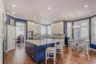 7923 Witney Pl, Lone Tree, CO 80124 - Photo 10