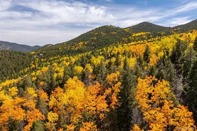 002 Seldon Seen Road, Golden, CO 80403 - Photo 8