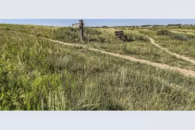 16471 Standing Elk Drive, Parker, CO 80134 - Photo 14