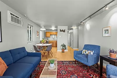 271 N Grant Street #303, Denver, CO 80203 - Photo 10