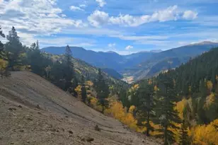 188 E Clear Crk Dr, Empire, CO 80438 - Photo 46
