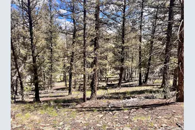 3015 Redhill Road, Fairplay, CO 80440 - Photo 16