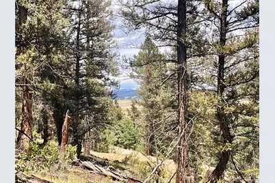 3015 Redhill Road, Fairplay, CO 80440 - Photo 18