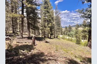 3015 Redhill Road, Fairplay, CO 80440 - Photo 12