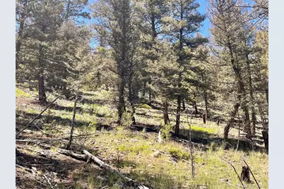 3015 Redhill Road, Fairplay, CO 80440 - Photo 14