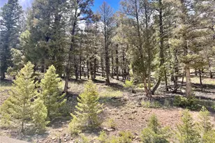 3015 Redhill Rd, Fairplay, CO 80440 - Photo 1