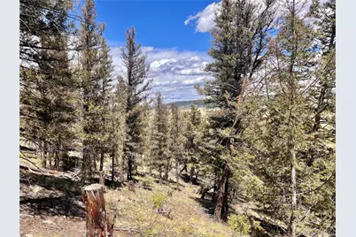 3015 Redhill Road, Fairplay, CO 80440 - Photo 10