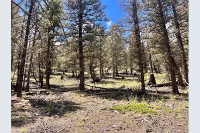 3015 Redhill Road, Fairplay, CO 80440 - Photo 28