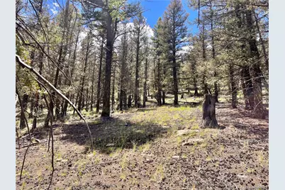 3015 Redhill Road, Fairplay, CO 80440 - Photo 26