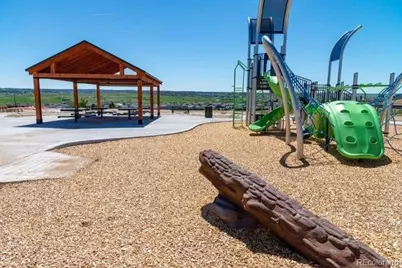13795 Daffodil Way, Parker, CO 80134 - Photo 36