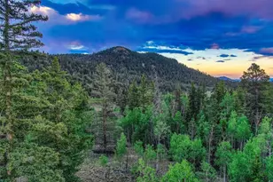 274 Folsom Dr, Como, CO 80432 - Photo 34
