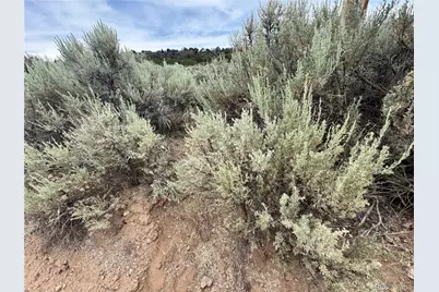 Lot 38 Wildhorse Drive, San Luis, CO 81152 - Photo 14