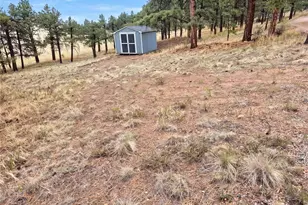 113 Blackberry Ct, Westcliffe, CO 81252 - Photo 14