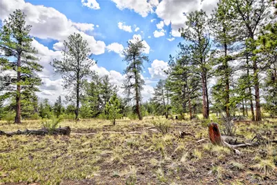 490 Teller Street, Lake George, CO 80827 - Photo 24