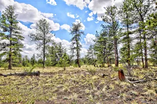 490 Teller St, Lake George, CO 80827 - Photo 24