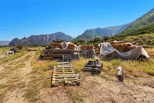 26101 Hwy 141, Whitewater, CO 81527 - Photo 6