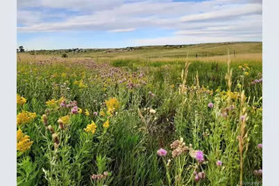 21545 Elk Meadows Circle, Elbert, CO 80106 - Photo 2