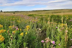 21545 Elk Meadows Cir, Elbert, CO 80106 - Photo 2
