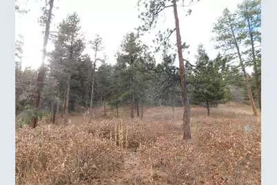 8055 Acoma Drive, Larkspur, CO 80118 - Photo 10