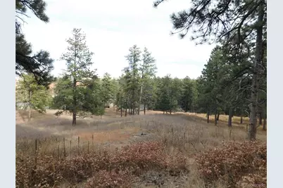 8055 Acoma Drive, Larkspur, CO 80118 - Photo 18