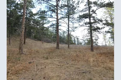 8055 Acoma Drive, Larkspur, CO 80118 - Photo 32