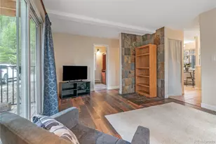 110 Now Colorado Ct, Breckenridge, CO 80424 - Photo 1