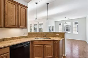 781 Rockhurst Dr, Highlands Ranch, CO 80129 - Photo 14