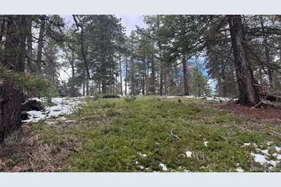 717 Crescent Lake Road, Golden, CO 80403 - Photo 16