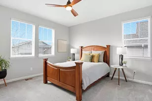 1196 Melting Snow Way, Castle Rock, CO 80109 - Photo 28