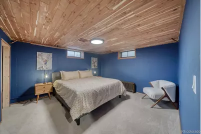 219 S Colorado Avenue, Buena Vista, CO 81211 - Photo 28