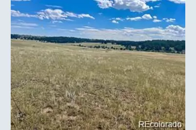 11726 Cr 102, Elbert, CO 80116 - Photo 4