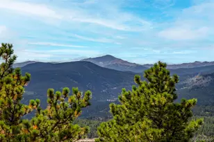 1455 Ridge Rd, Nederland, CO 80466 - Photo 8