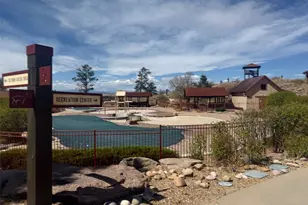 11887 Discovery Cir, Parker, CO 80138 - Photo 38