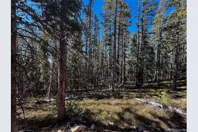 Lot 6530 Schluetter Road, Fort Garland, CO 81133 - Photo 8